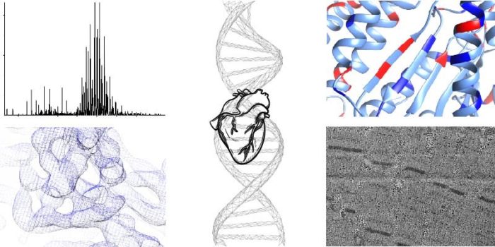 Dr Charlie Scarff The Astbury Centre For Structural Molecular Biology