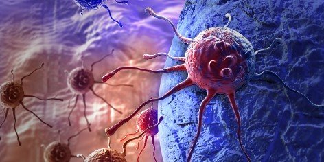 Molecule fights cancer on two fronts