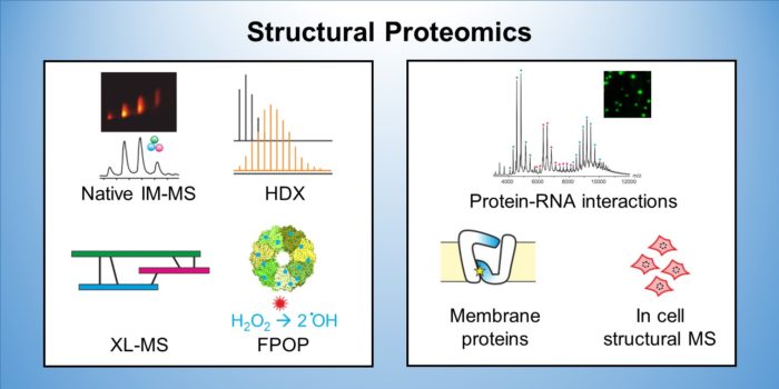 Representations of different structural proteomics methods, including native IM-MS, HDX, XL-MS and FPOP and an Example native mass spectrum of a protein-RNA assembly, schematic diagram of a membrane protein, and diagram of cells.
