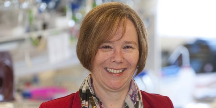 Professor Sheena Radford awarded an OBE in the Queen's birthday honours list for services to Molecular Biology Research.