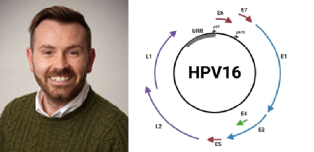 Andrew Macdonald promoted to Professor of Tumour Virology