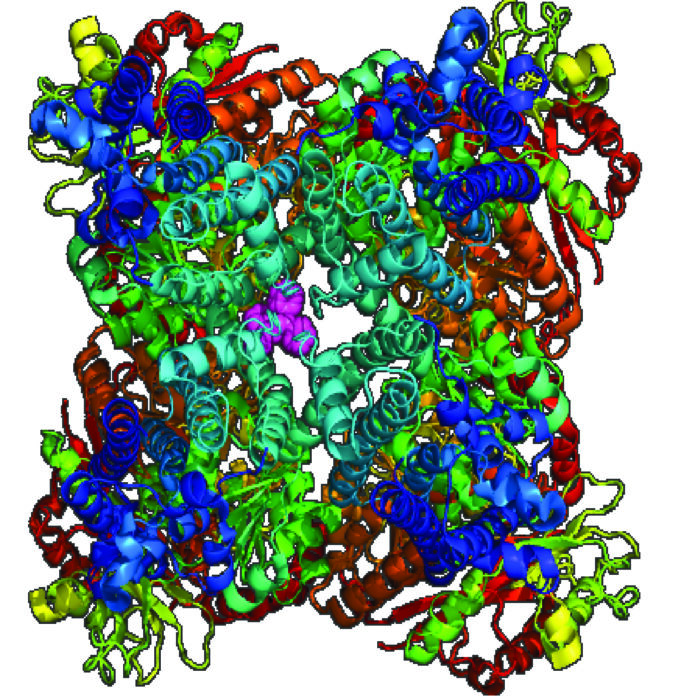 The image depicts the KCNT1 ion channel as rainbow-coloured ribbons with the ligand binding site highlighted as pink spheres.