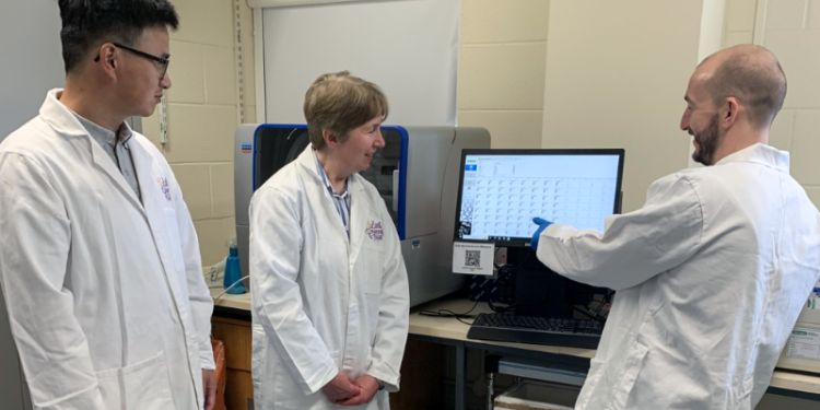New discovery links circular DNA by-products to childhood leukaemia ...