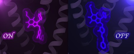 Colourful TRP tease: chromatic control of ion channels