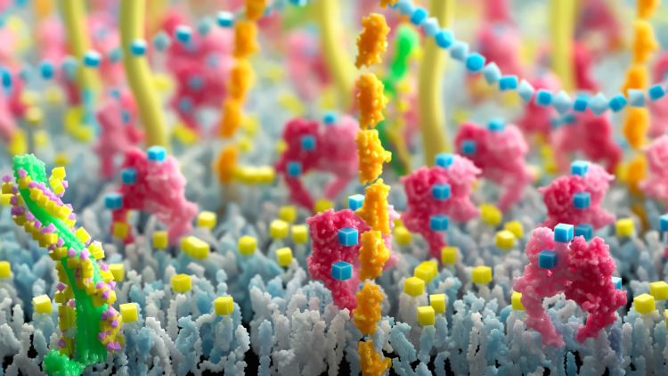 Still from an animation illustrating different aspects of the glycosciences.